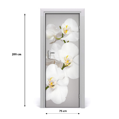Nalepka Naklejka fototapeta na drzwi Biała orchidea