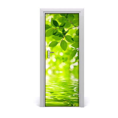 Okleina Naklejka fototapeta na drzwi Zielone liście