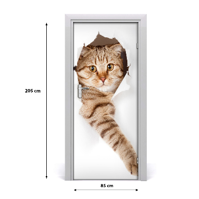 Naklejka samoprzylepna na drzwi Kot