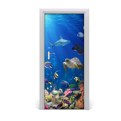 Naklejka samoprzylepna na drzwi Rafa koralowa