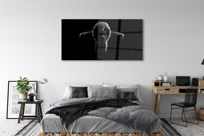 Obraz akrylowy Kobieta czarno białe
