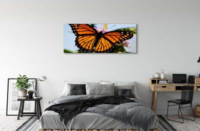 Obraz na płótnie Kolorowy motyl
