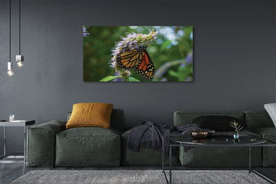 Obraz na płótnie Kwiat kolorowy motyl