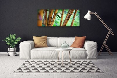 Obraz na Płótnie Bambus Natura Roślina