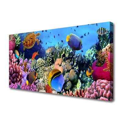 Obraz na Płótnie Rafa Koralowa Natura