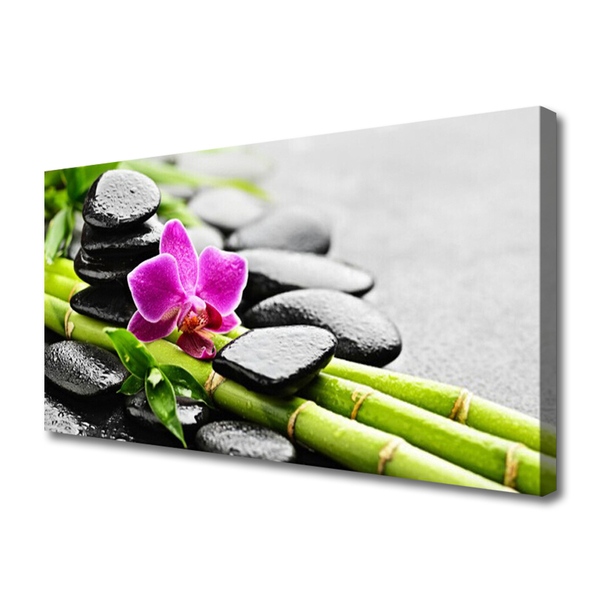 Obraz na Płótnie bambus Kwiat Kamienie Sztuka
