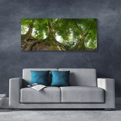 Obraz Canvas Drzewa Roślina Natura