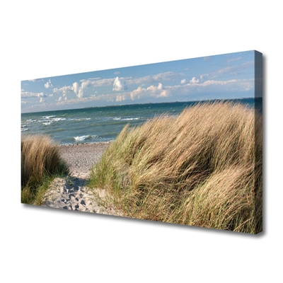 Obraz Canvas Plaża Morze Trawa Krajobraz