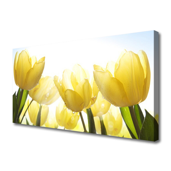 Obraz Canvas Tulipany Kwiaty Promienie