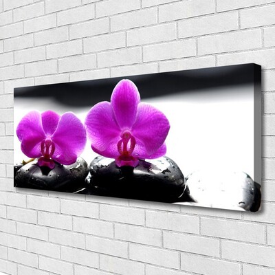 Obraz Canvas Kwiaty Orchidea Natura