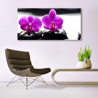 Obraz Canvas Kwiaty Orchidea Natura