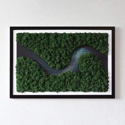 Obraz z mchu Rzeka w puszczy