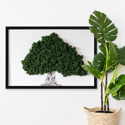 Obraz mech Drzewo z korzeniami na białym tle