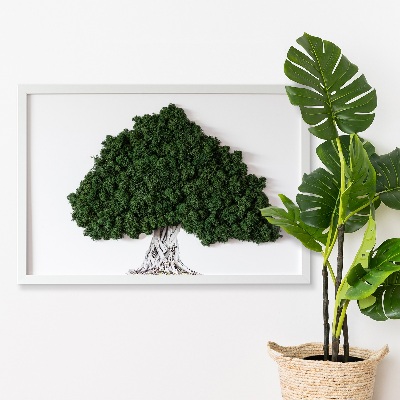 Obraz mech Drzewo z korzeniami na białym tle