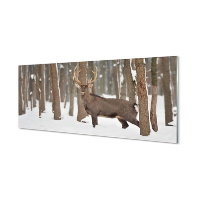 Obraz na szkle Jeleń zima las