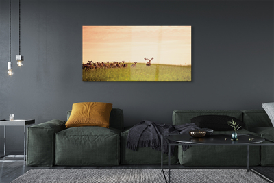 Obraz na szkle Stado jeleni pole wschód słońca