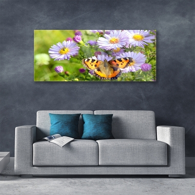 Obraz na Szkle Kwiaty Motyl Roślina Natura