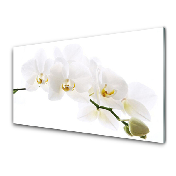 Obraz na Szkle Kwiaty Orchidea