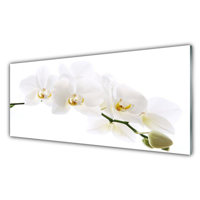 Obraz na Szkle Kwiaty Orchidea
