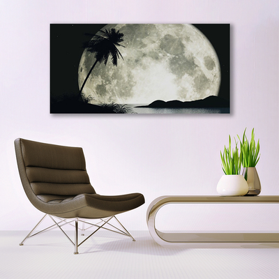 Obraz na Szkle Noc Księżyc Palma Krajobraz