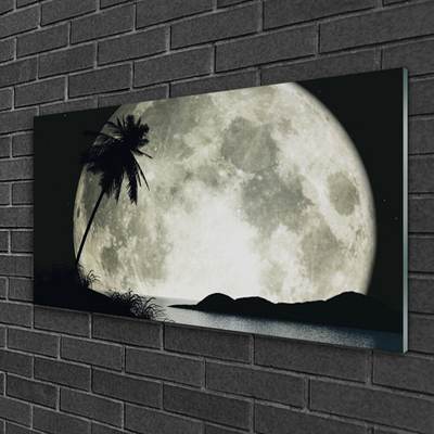 Obraz na Szkle Noc Księżyc Palma Krajobraz