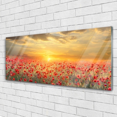 Obraz Szklany Słońce Łąka Mak Kwiaty