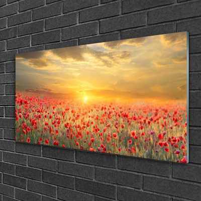 Obraz Szklany Słońce Łąka Mak Kwiaty