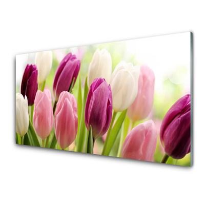 Obraz Szklany Tulipany Kwiaty Natura Łąka