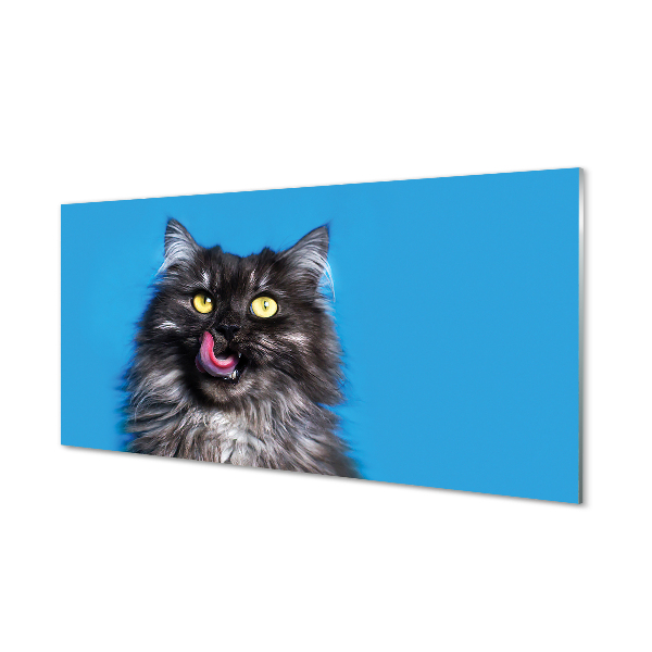 Panel Szklany Oblizujący się kot