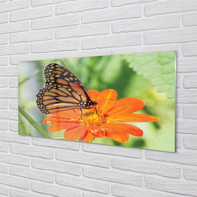 Panel Szklany Kwiat kolorowy motyl
