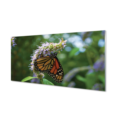 Panel Szklany Kwiat kolorowy motyl
