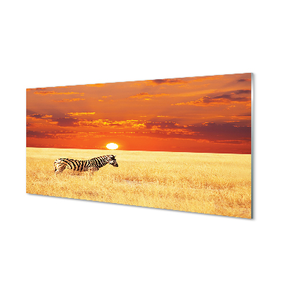 Szklany Panel Zebra pole zachód słońca