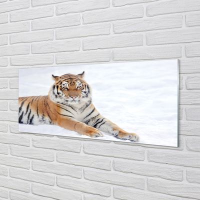 Szklany Panel Tygrys zima śnieg