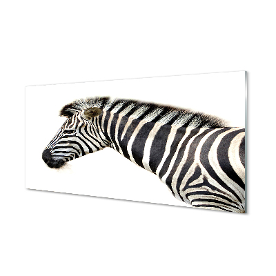 Szklany Panel Zebra