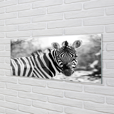 Szklany Panel Retro zebra