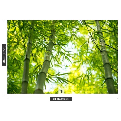 Fototapeta Gałąź Bambus
