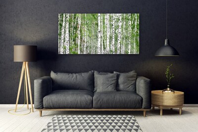 Obraz Akrylowy Brzoza Las Drzewa Natura