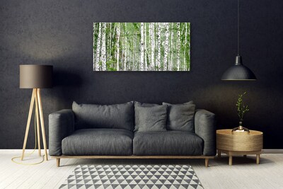 Obraz Akrylowy Brzoza Las Drzewa Natura