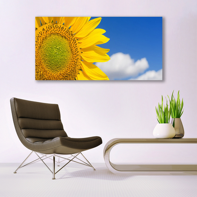 Obraz Akrylowy Słonecznik Niebo Chmury