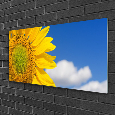 Obraz Akrylowy Słonecznik Niebo Chmury