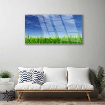 Obraz Akrylowy Niebo Trawa Natura Roślina