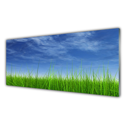Obraz Akrylowy Niebo Trawa Natura Roślina