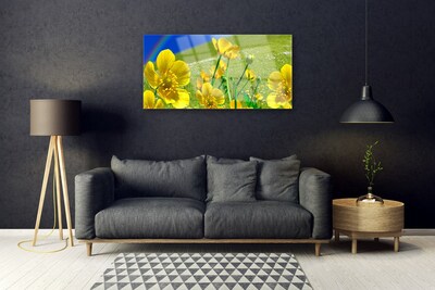Obraz Akrylowy Łąka Kwiaty Tęcza Natura