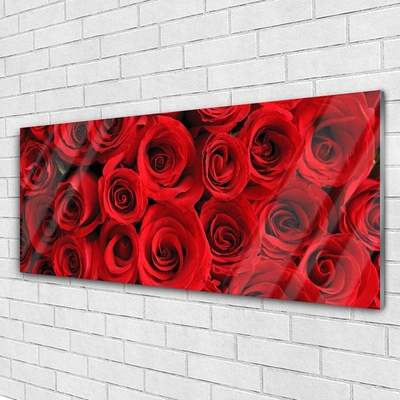 Obraz Akrylowy Róże Kwiaty