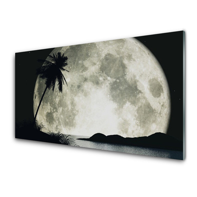 Obraz Akrylowy Noc Księżyc Palma Krajobraz