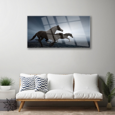 Obraz Akrylowy Konie Zwierzęta