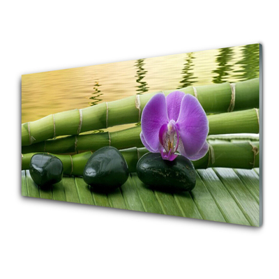 Obraz Akrylowy Kwiat Kamienie Bambus Natura