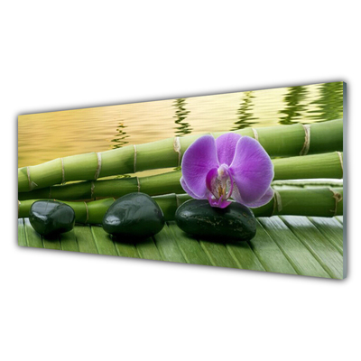 Obraz Akrylowy Kwiat Kamienie Bambus Natura