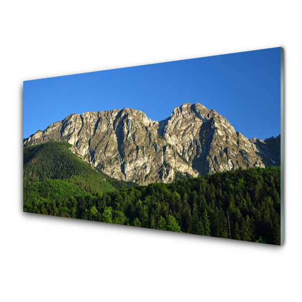 Obraz Akrylowy Góra Las Natura