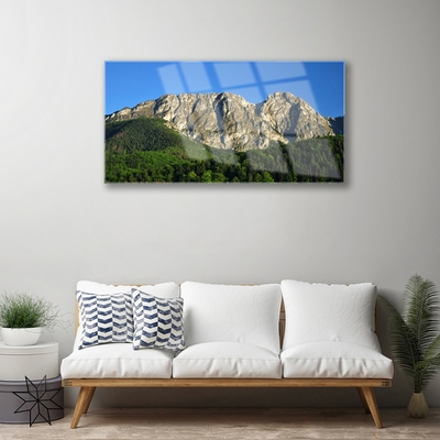 Obraz Akrylowy Góra Las Natura